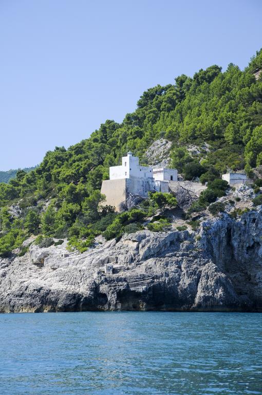 Pensione San Michele Mattinata Dış mekan fotoğraf